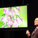 Image for article titled Sony's Bravia LED LCD HDTV Lineup: XBR-LX900 and XBR-HX900 Go 3D, and Wi-Fi Abounds
